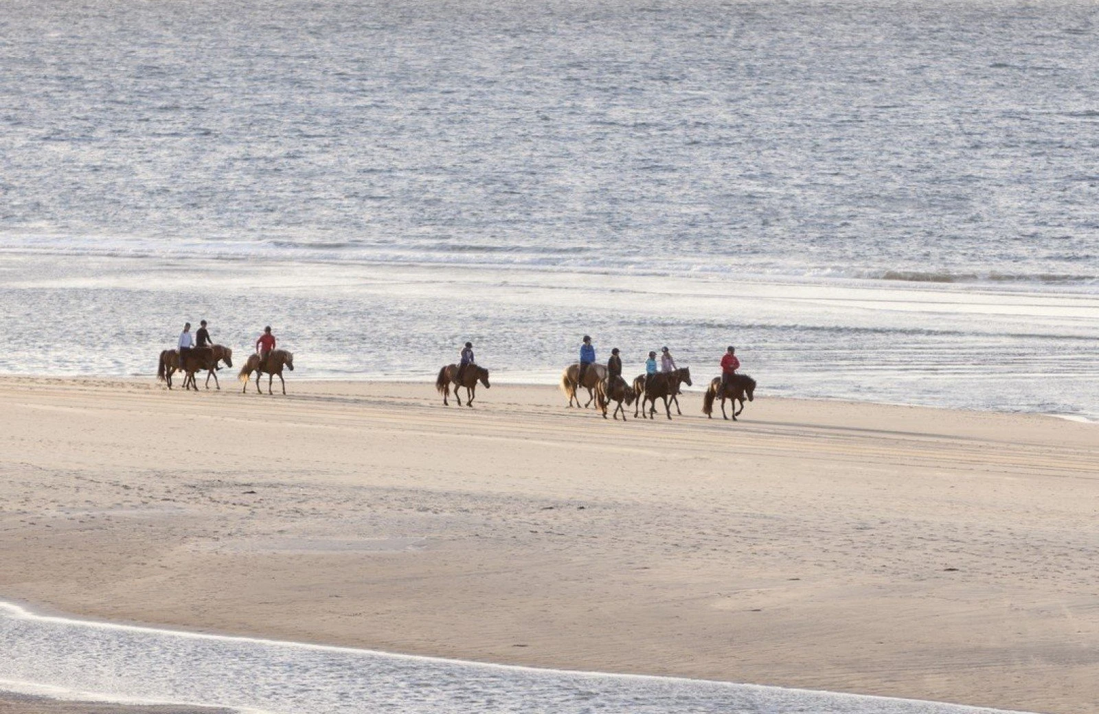Paardenrijden op vlieland