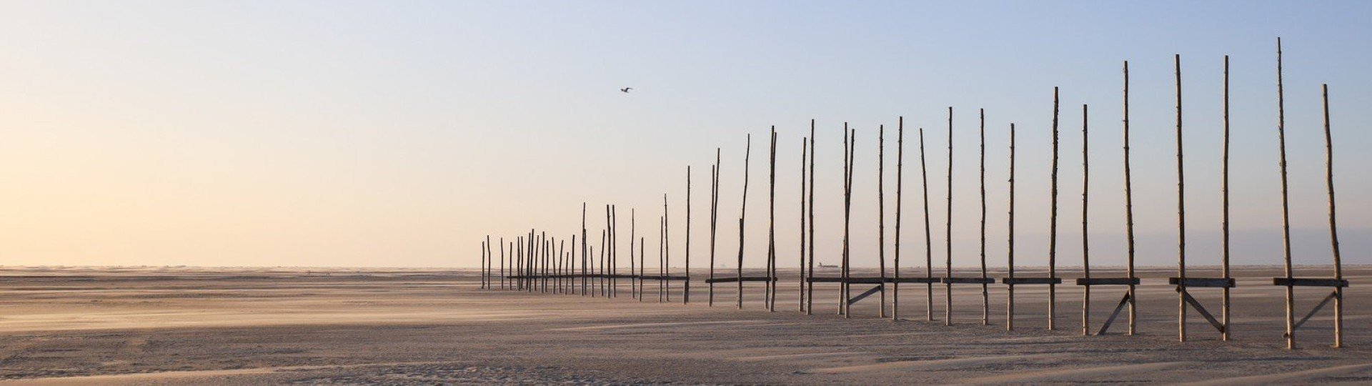 Strand van vlieland 3