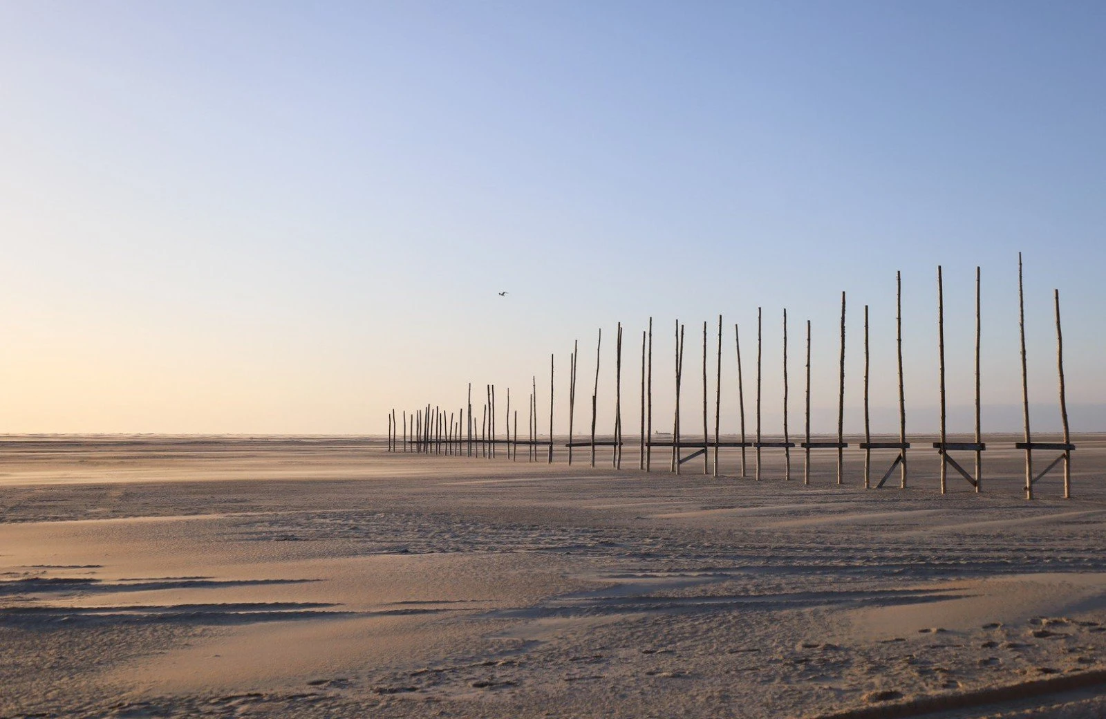 Strand van vlieland 3