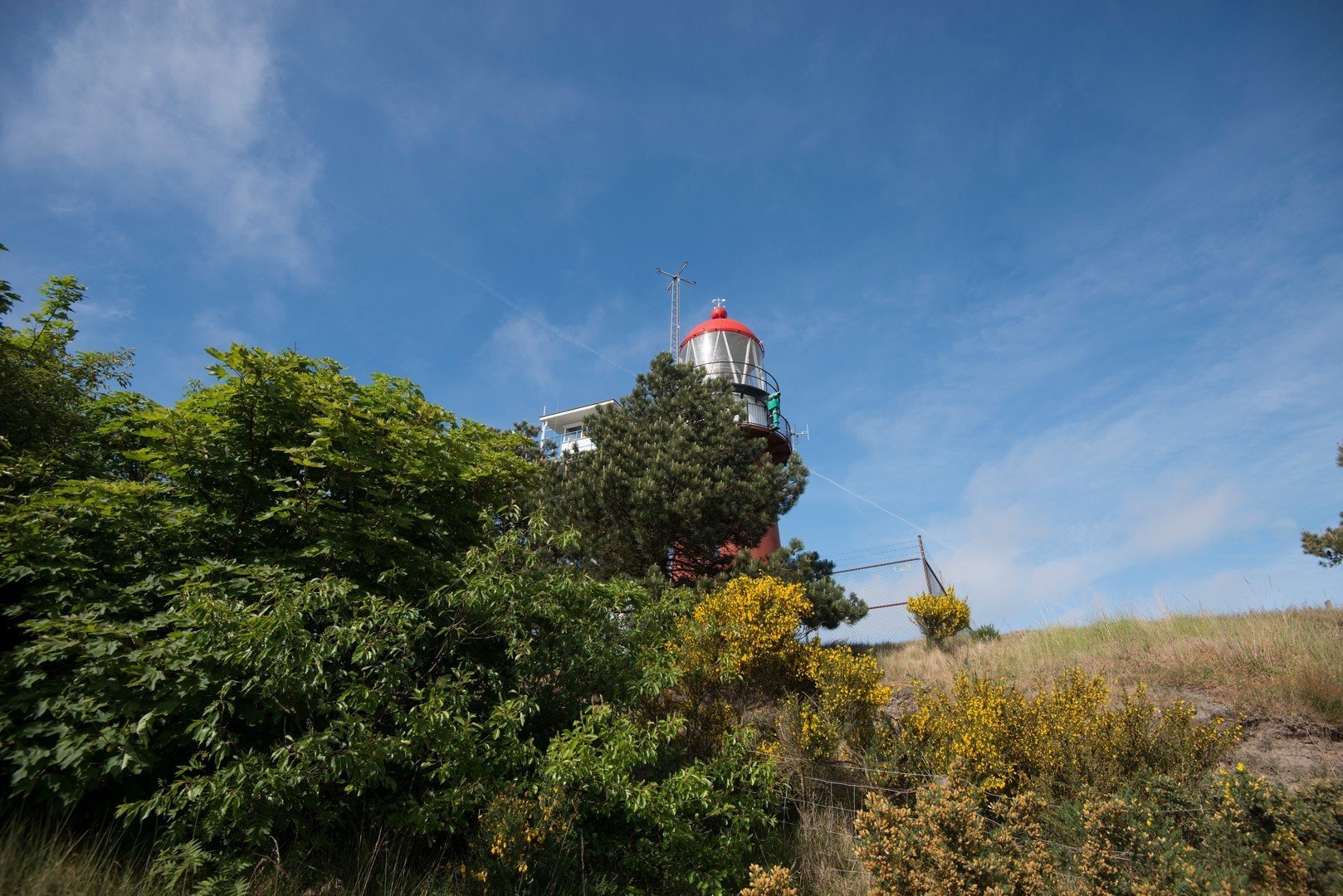 Vuurtoren van vlieland