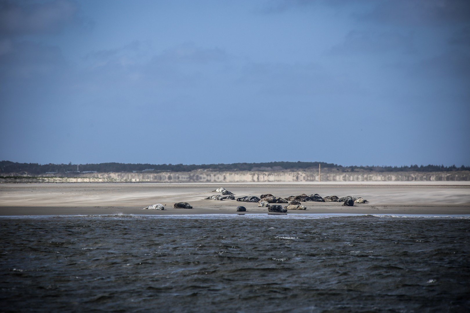 Zeehondentocht vlieland 691735c3e3813