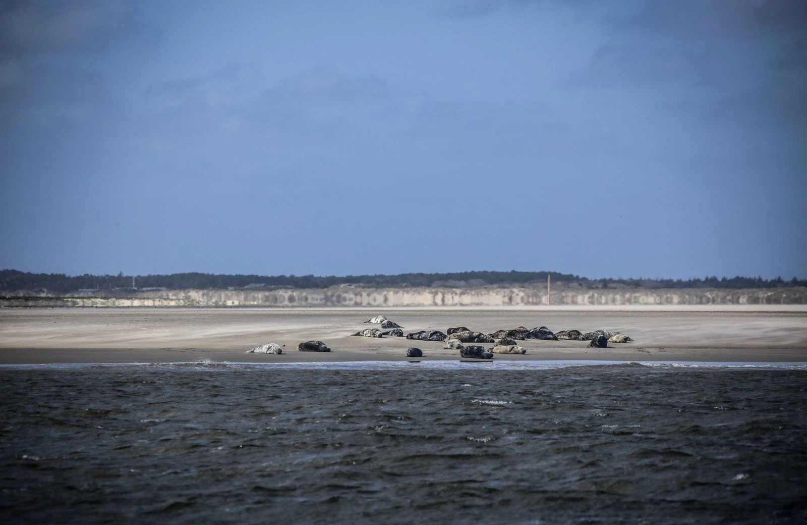 Zeehondentocht vlieland 691735c3e3813